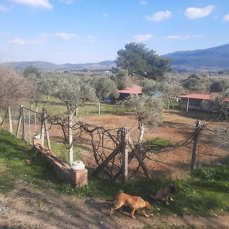 Campsite Ali Dede Kamp Karavan *