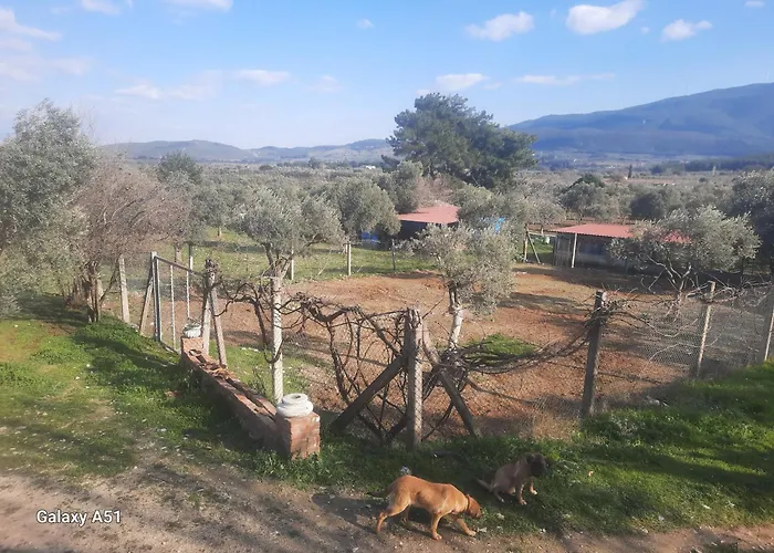 Kamp alanı Ali Dede Kamp Karavan *