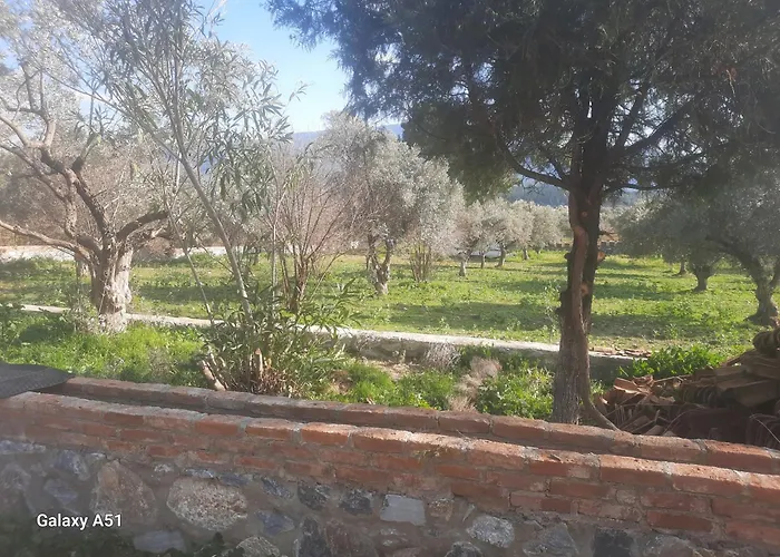 Kamp alanı Ali Dede Kamp Karavan Kuşadası