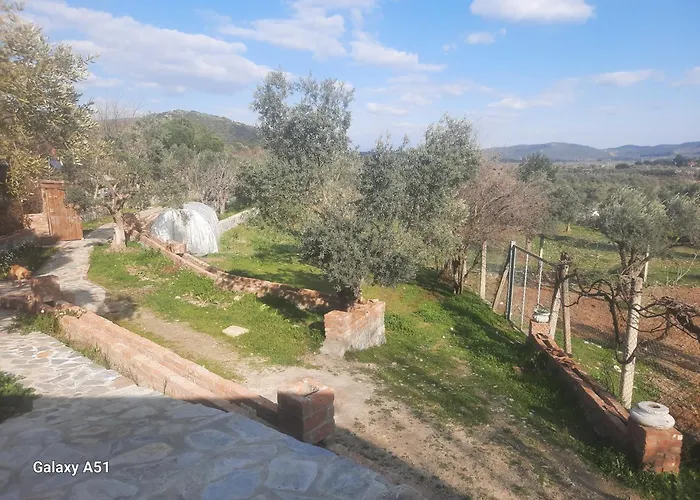 Kamp alanı Ali Dede Kamp Karavan