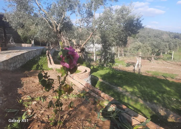 Kamp alanı Ali Dede Kamp Karavan Kuşadası