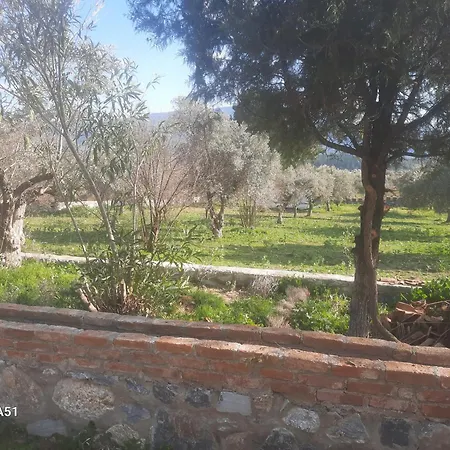 Campsite Ali Dede Kamp Karavan Kusadasi