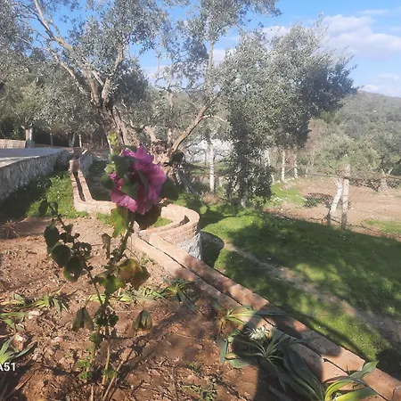 Campsite Ali Dede Kamp Karavan Kusadasi